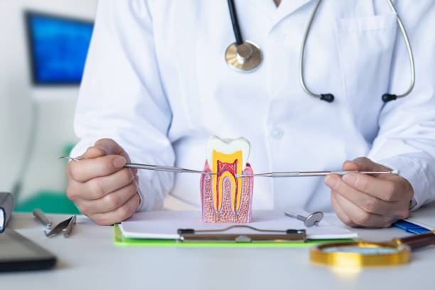 Best Orthodontic Emergency Dentist in Ferris, TX